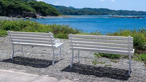 Deux bancs blancs sont disposés sur un chemin de gravier, offrant une vue sur un paysage côtier comprenant une étendue d’eau et des collines lointaines.