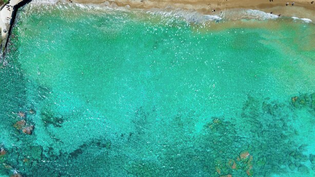 An aerial view of a beach with clear turquoise water, a sandy shore, and a promenade lined with palm trees.