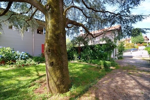 A residential area with a large tree, a gravel driveway, and a house with a red door.