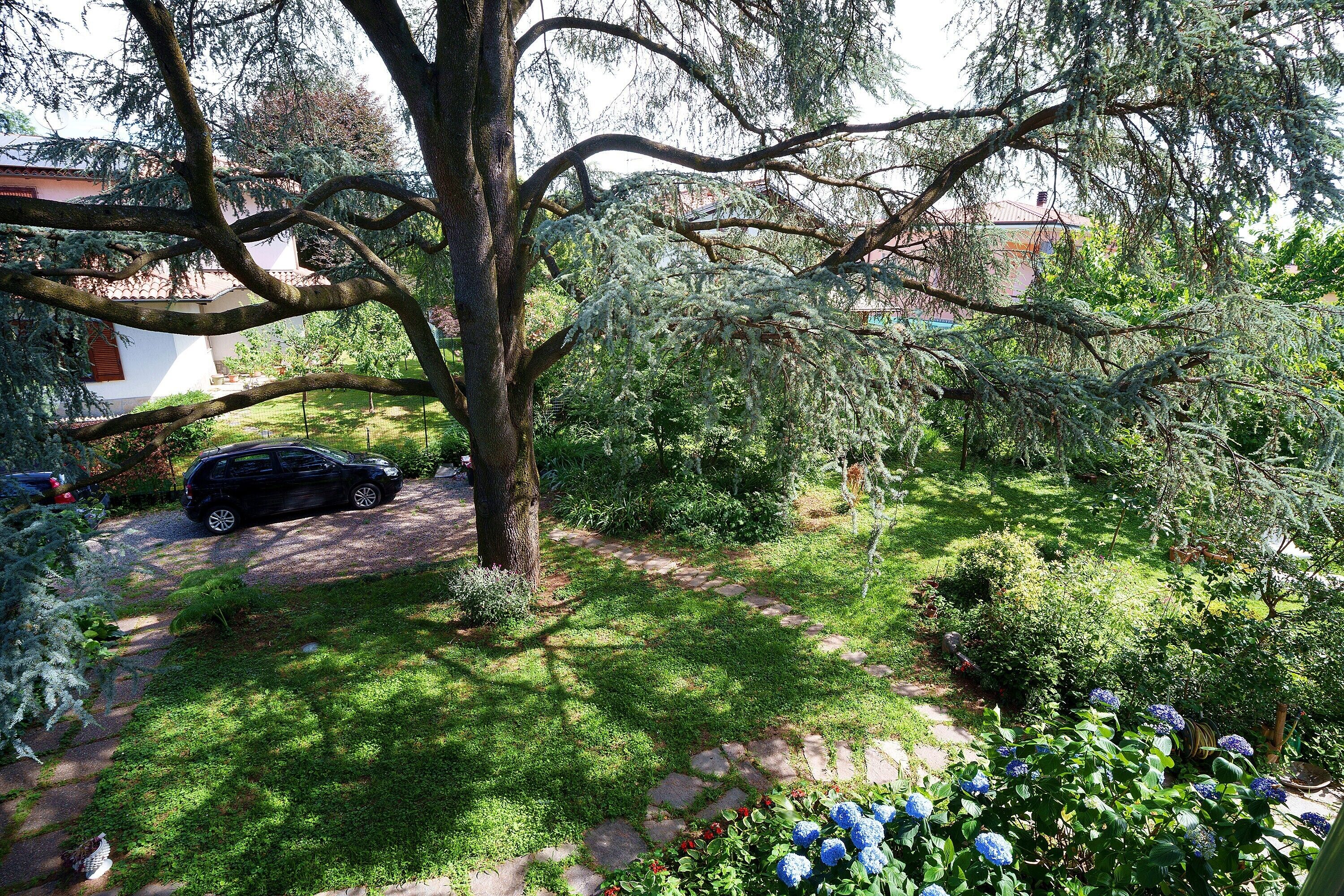 Parco della struttura