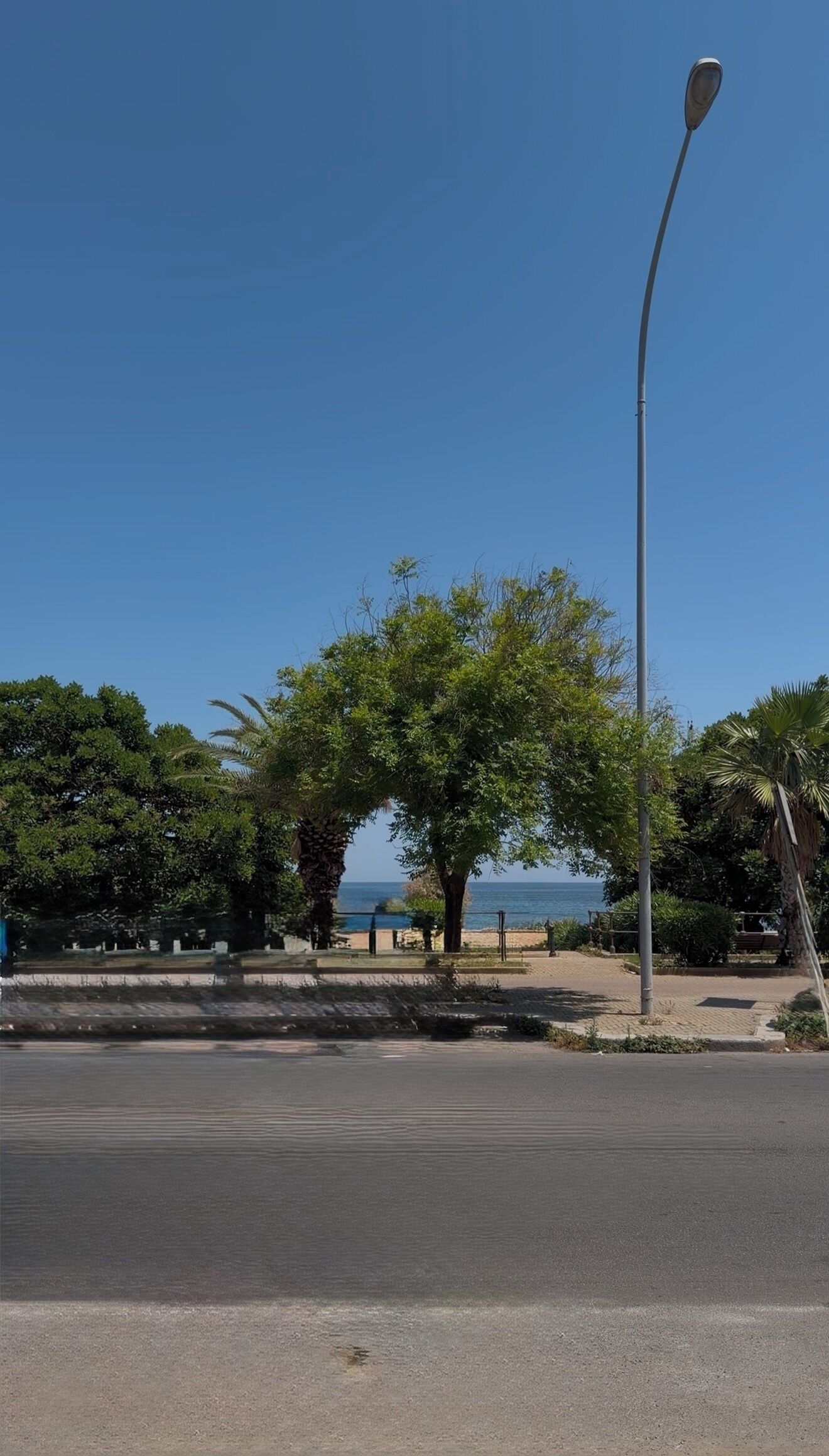 A street with a lamppost, trees, and a clear blue sky.
