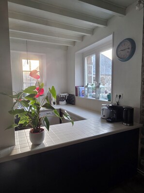 Une cuisine avec une fenêtre, une horloge et une plante en pot.