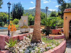 Un jardin agrĂ©mentĂ© dâun palmier, dâaloĂšs et de diverses plantes.
