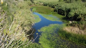 A natural landscape with a river, dense greenery, and trees. - Holiday Home 'Cova Negra Nature' with Mountain Views, Shared Pool, and Air Conditioning (El Genovés)