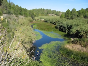 A natural landscape with a river, dense greenery, and trees. - Holiday Home 'Cova Negra Nature' with Mountain Views, Shared Pool, and Air Conditioning (El Genovés)