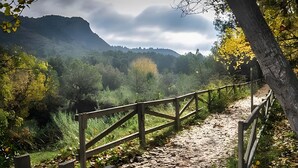 A wooden pathway with a fence, surrounded by trees and a mountain in the background. - Holiday Home 'Cova Negra Nature' with Mountain Views, Shared Pool, and Air Conditioning (El Genovés)
