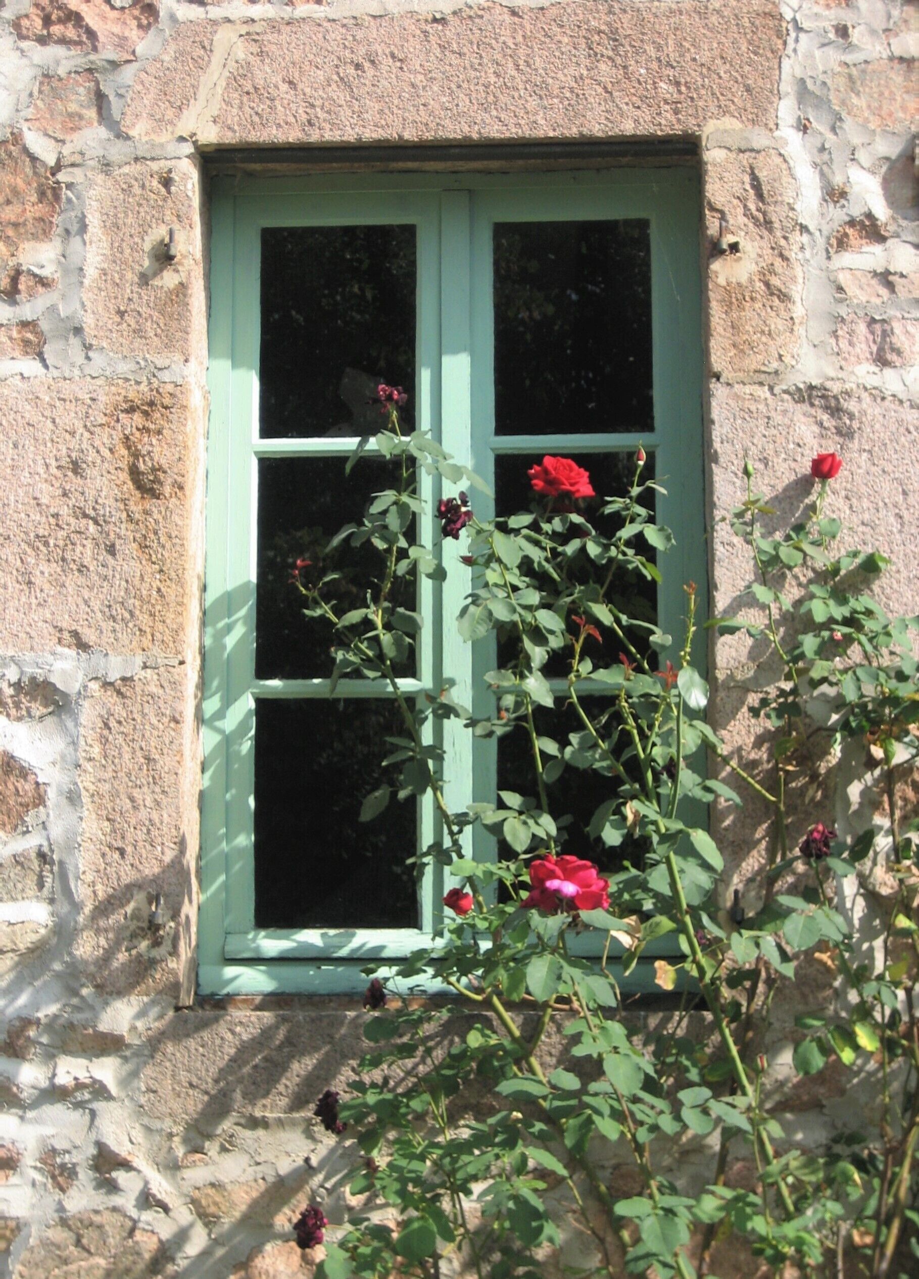 Detalle exterior