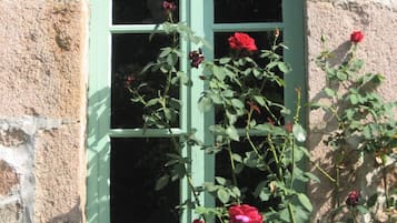 Detalle exterior