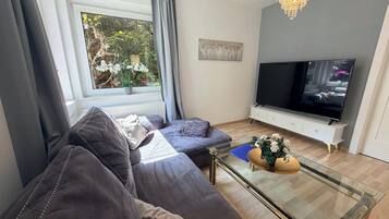 Fernseher, Bücher