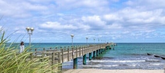 Experience forest & waves: Your holiday apartment between forest and Baltic Sea