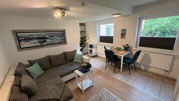 Fernseher, Kamin, Bücher