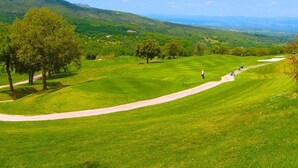 Um campo de golfe com um caminho bem definido, árvores e colinas ao longe.