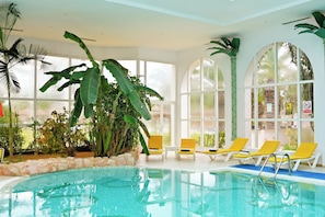 Una piscina interior amb parets de vidre transparent, gandules grogues i plantes tropicals.
