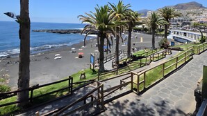 Ein Strand mit Palmen, einem Weg und Blick aufs Meer.
