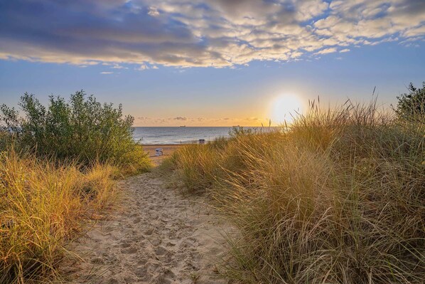 A sandy path leading to the beach with grass on either side.