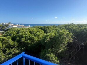 A coastal view with dense greenery and a clear blue sky.