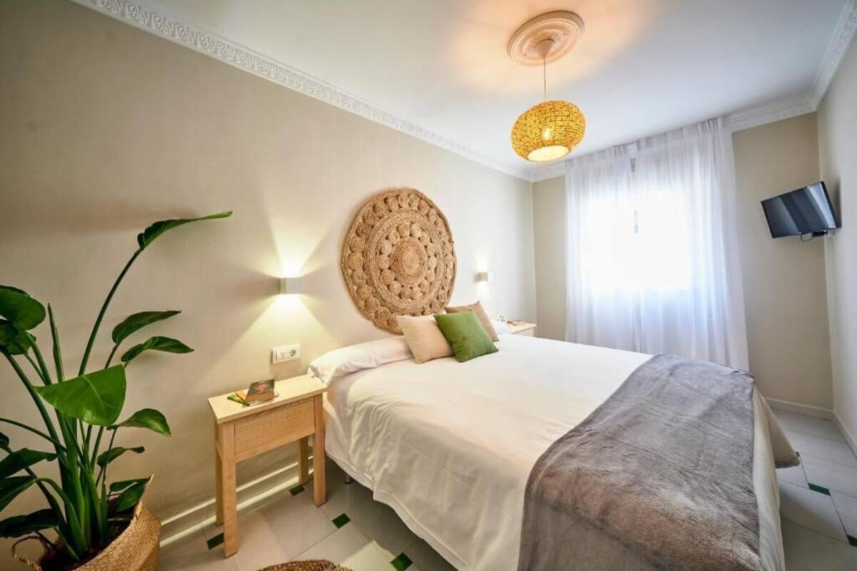 A bedroom with a bed, bedside table, lamp, wall-mounted TV, and a large potted plant.