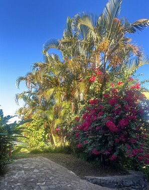 A pathway leading to a garden with palm trees and pink flowering bushes. - Villa TheOceane (Les Avirons)