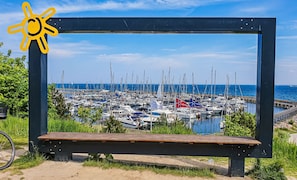 Ein Yachthafen mit zahlreichen vertäuten Booten, einem strahlend blauen Himmel und einer hölzernen Bank im Vordergrund.