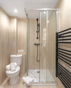 A modern bathroom with a glass-enclosed shower, a toilet, and a towel rack. - Renovated studio with mezzanine in Le Marais (Paris)