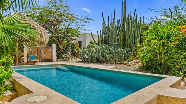 Uma piscina retangular com borda revestida, cercada por diversos cactos e plantas.