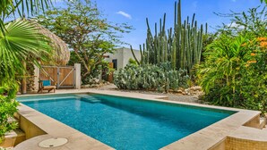 A rectangular pool with a tiled edge, surrounded by various cacti and plants. - Picaron 19G - C (Santa Cruz)