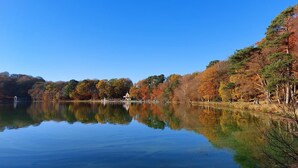 A calm lake with a clear reflection of trees and a gazebo. - Charlie's Quarters Self Check-In Rooms (Brampton)
