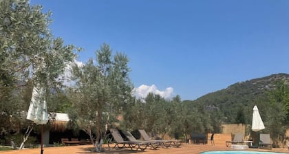 Vita Nova Hotel