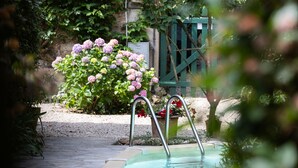 Une piscine avec des marches, entourée de verdure et bordée d’un mur en pierre.