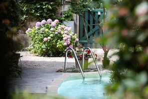 A swimming pool with steps, surrounded by greenery and a stone wall. - Villa Roocello, charming restored olive mill, with (Capannori)