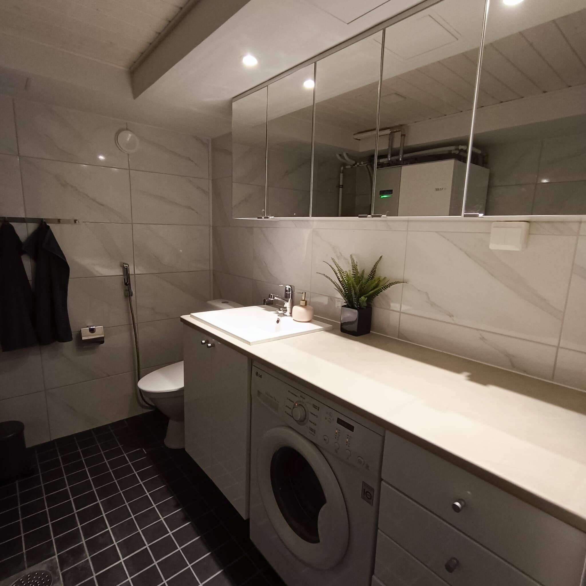 Appartement, 1 chambre, cheminée | Blanchisserie