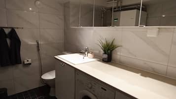 Apartment, 1 Bedroom, Fireplace | Laundry