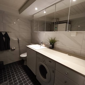 Apartamento, 1 quarto, lareira | Lavanderia