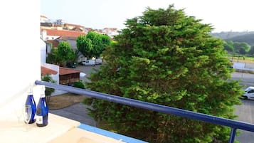 Chambre Double Deluxe, balcon, vue jardin | Enceinte de lâhĂ©bergement