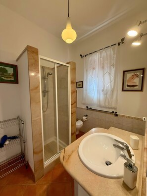 Ein Badezimmer mit Duschkabine, Waschbecken mit Spiegel und Toilette.