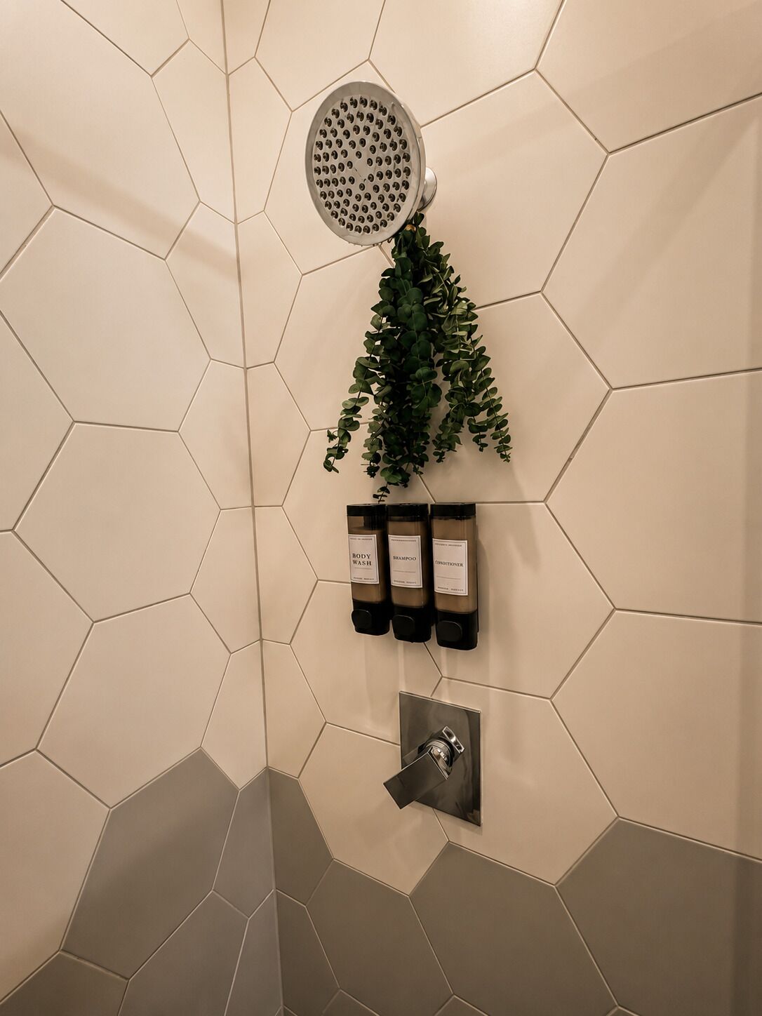 A shower with a hexagonal tile wall, a showerhead, a plant, and a wall-mounted soap dispenser.