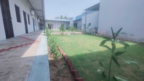 Un patio con un sendero empedrado, un área verde y una planta pequeña.