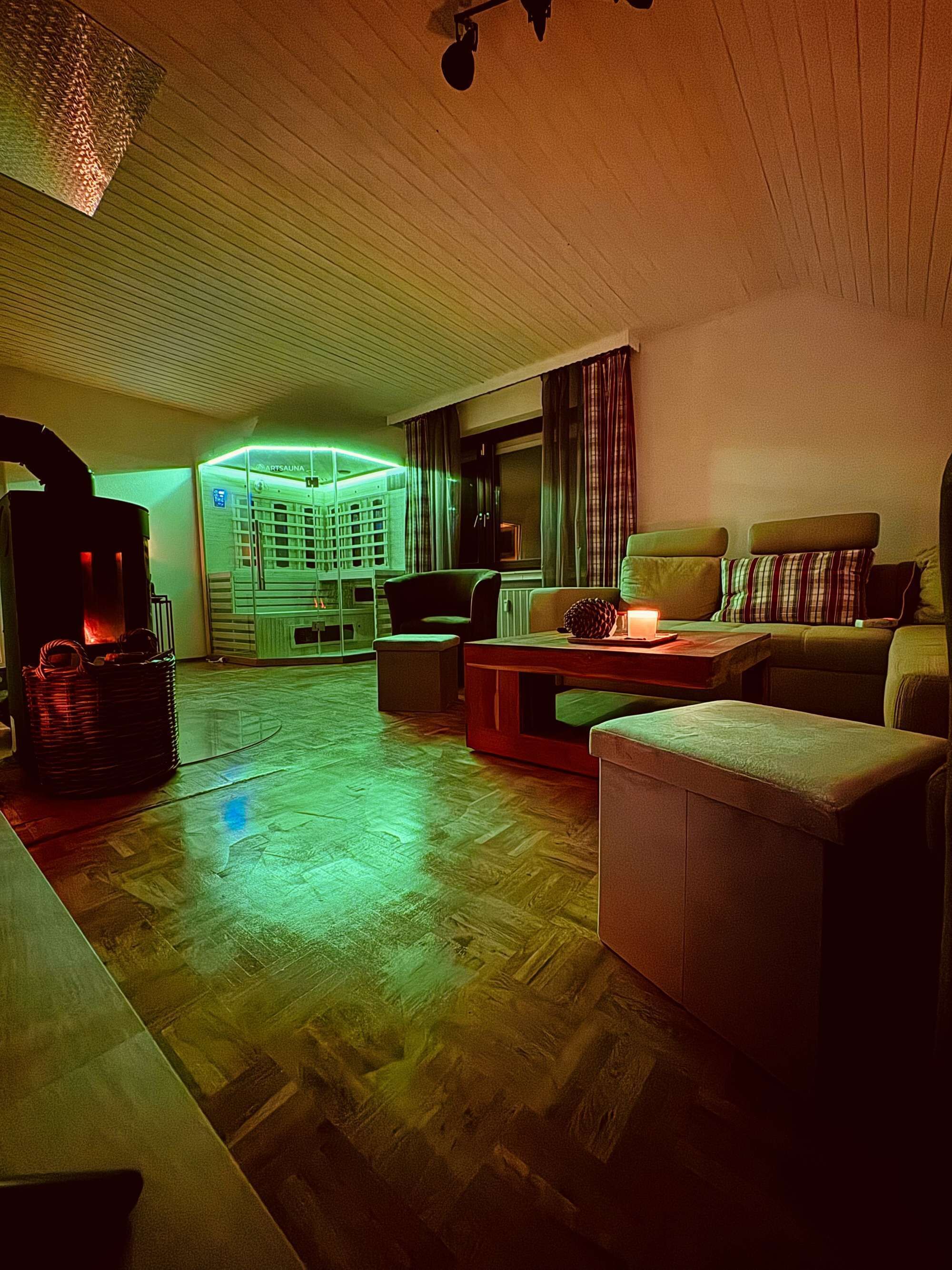 TV, fireplace, books