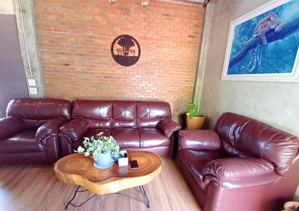 Een kamer met twee leren banken, een houten salontafel, een potplant en een logo aan de muur.