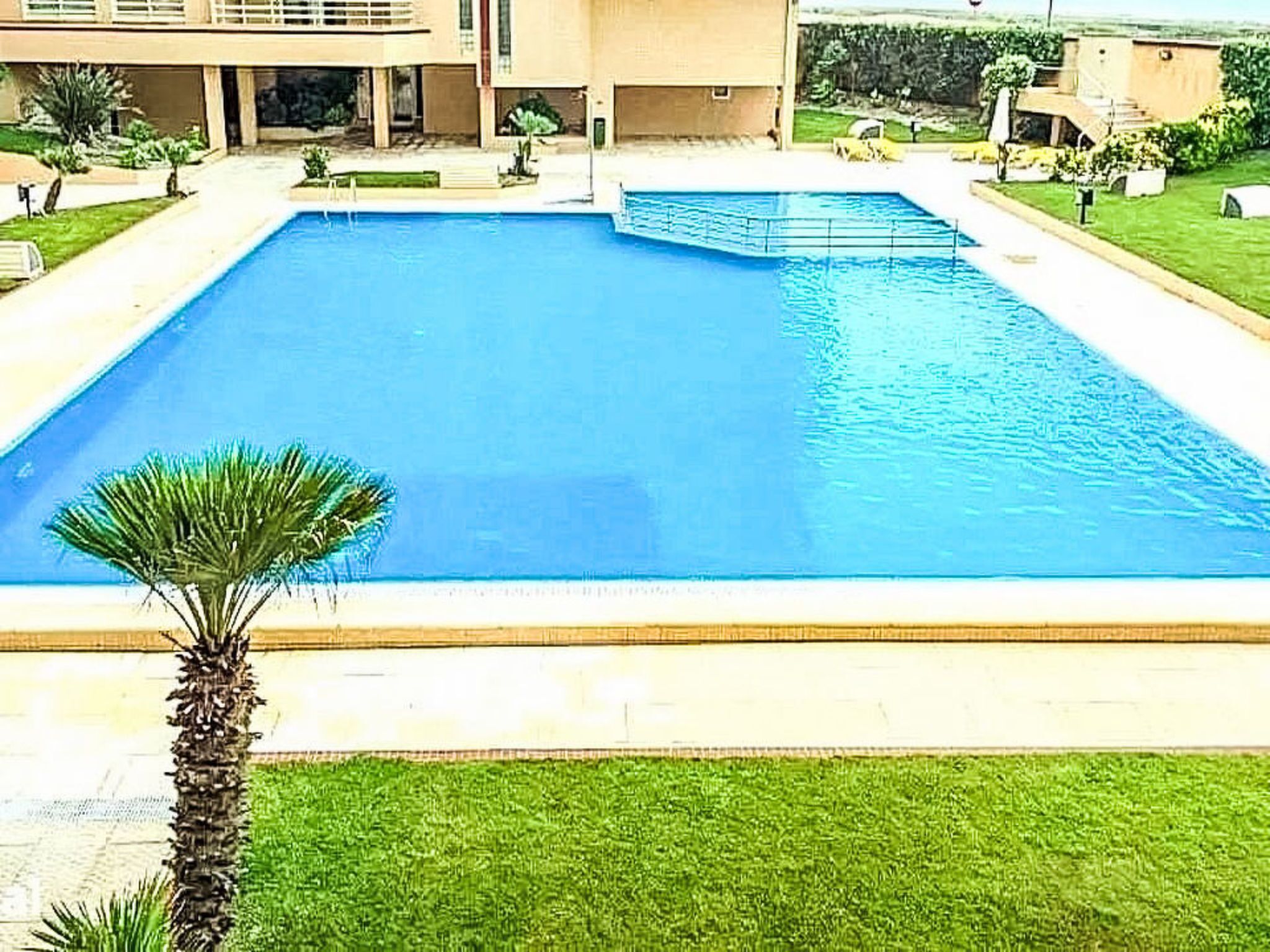 A rectangular swimming pool with a clear blue water surface, surrounded by a well-maintained lawn and a palm tree.