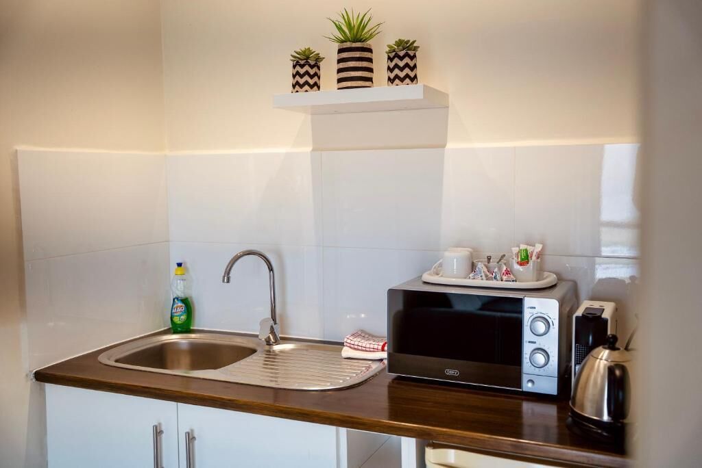 A kitchen with a stainless steel sink, a microwave, a kettle, and a shelf with potted plants.