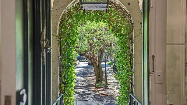 Vista pela janela, com um arco de vegetação, uma árvore e uma rua com carros estacionados.