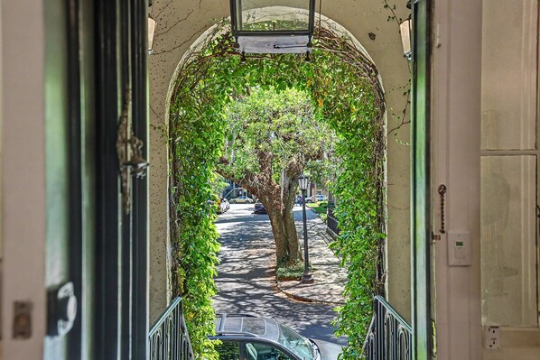 Vista pela janela, com um arco de vegetação, uma árvore e uma rua com carros estacionados.