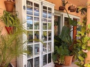 Ein Fenster mit mehreren Glasscheiben, umgeben von Blumentöpfen.
