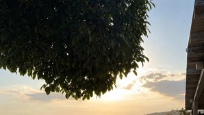 Un patio al aire libre con suelo de piedra, mobiliario de madera y vistas al paisaje.