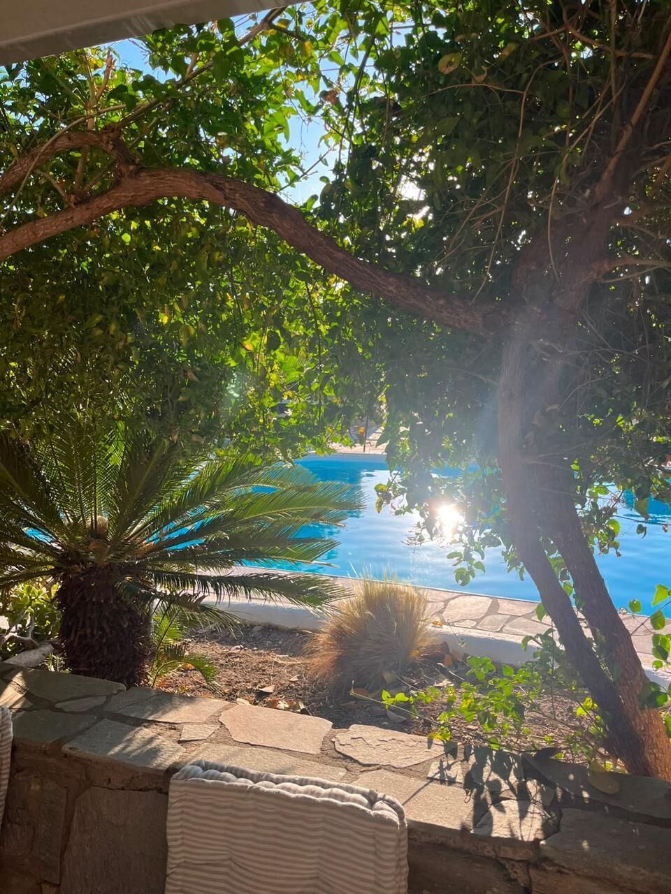 A stone pathway leading to a pool area with a view of the water and a palm tree.