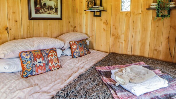 Ein Zimmer aus Holz mit einem Bett, Kissen, einer Decke, einem gerahmten Bild und einem Regal mit Büchern und einer Pflanze.