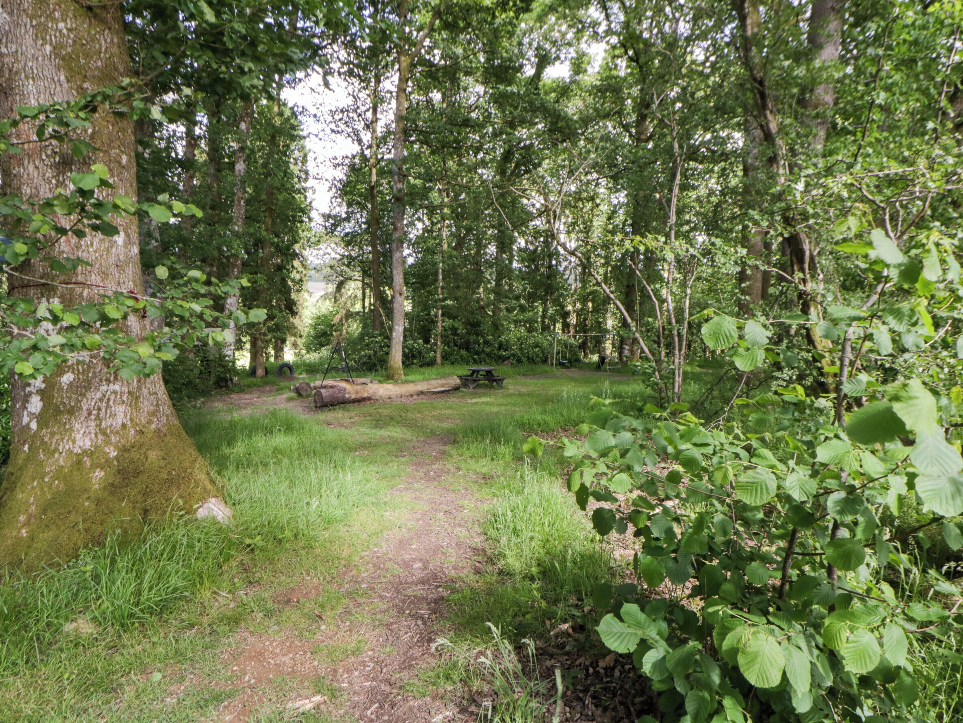 Een bebost gebied met een onverhard pad, een picknicktafel en een grote boomstam.