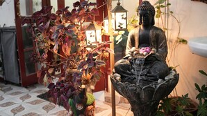 A Buddha statue, a water feature, and a potted plant with hanging lights. - Ayuskama Ayurveda Ayur Yoga (Rishikesh)