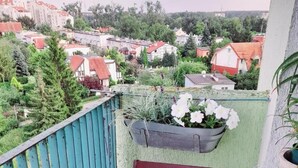 Un balcón con vista a una zona residencial, una maceta con flores blancas y una silla de madera.